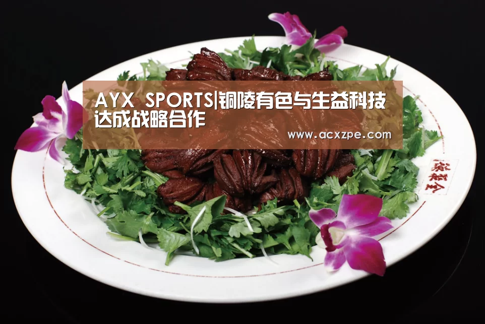  AYX SPORTS|铜陵有色与生益科技达成战略合作