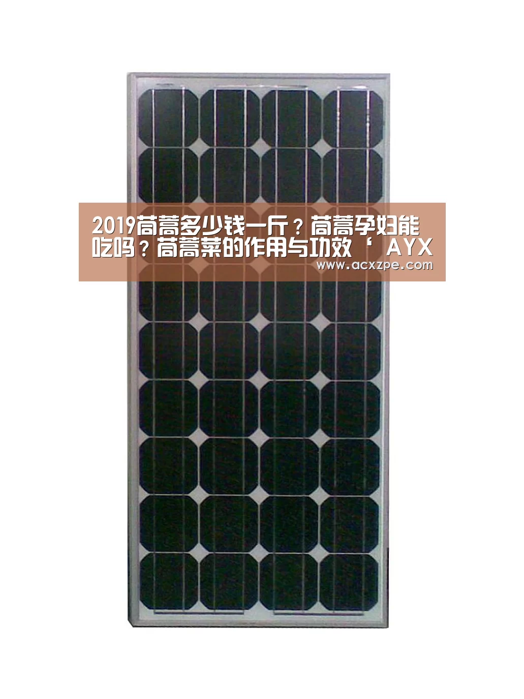 爱游戏体育（中国）官方网站 