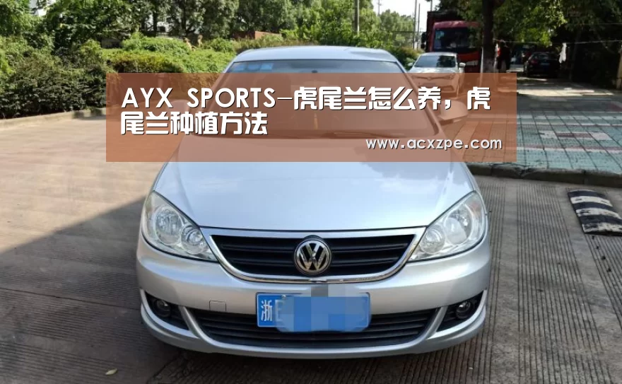  AYX SPORTS