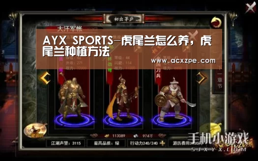  AYX SPORTS-虎尾兰怎么养，虎尾兰种植方法
