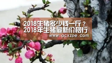 2018生猪多少钱一斤？2018年生猪最新价格行情“爱游戏体育（中国）官方网站 ”