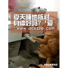 夏天睡地板对身体好吗?‘爱游戏体育（中国）官方网站 ’