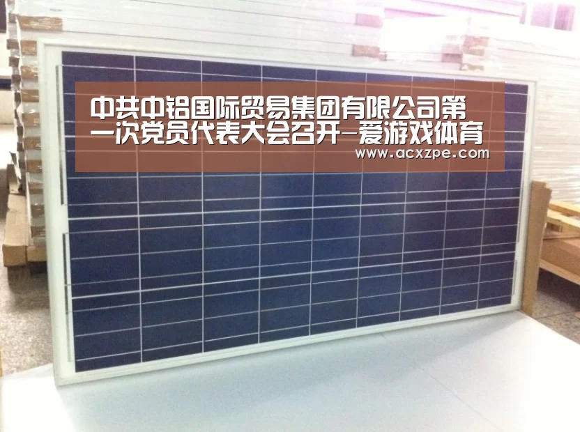 中共中铝国际贸易集团有限公司第一次党员代表大会召开-爱游戏体育（中国）官方网站 
