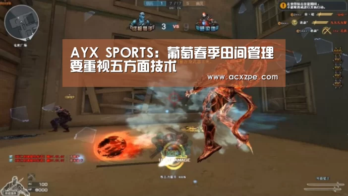  AYX SPORTS：葡萄春季田间管理要重视五方面技术