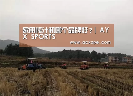 家用榨汁机哪个品牌好?| AYX SPORTS(图3) 爱游戏体育(中国)官方网站