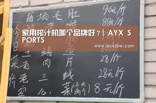 家用榨汁机哪个品牌好?| AYX SPORTS(图4) 爱游戏体育(中国)官方网站