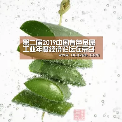 第二届2019中国有色金属工业年度经济论坛在京召开十位人物、十家企业获颁年度经济人物和领军企业‘爱游戏体育（中国）官方网站 ’