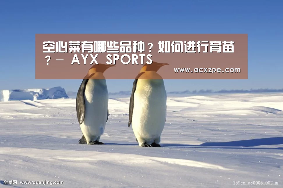 爱游戏体育（中国）官方网站 