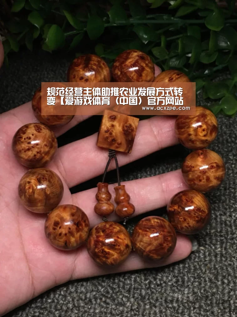 规范经营主体助推农业发展方式转变【爱游戏体育（中国）官方网站 】