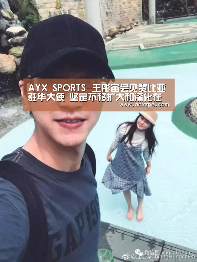  AYX SPORTS-王彤宙会见赞比亚驻华大使 坚定不移扩大和深化在赞投资合作
