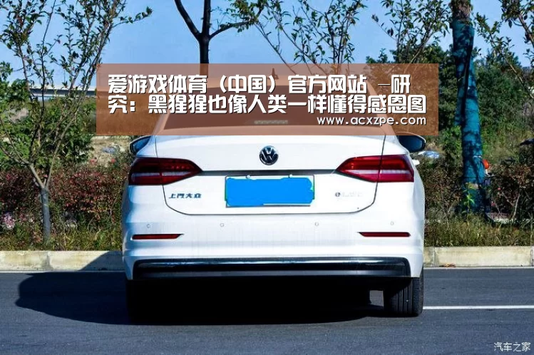 爱游戏体育（中国）官方网站 -研究：黑猩猩也像人类一样懂得感恩图报 投桃报李