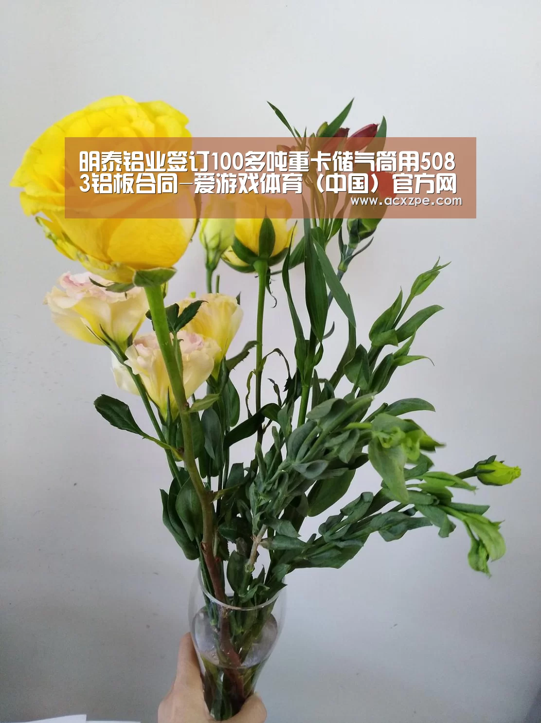 明泰铝业签订100多吨重卡储气筒用5083铝板合同-爱游戏体育（中国）官方网站 