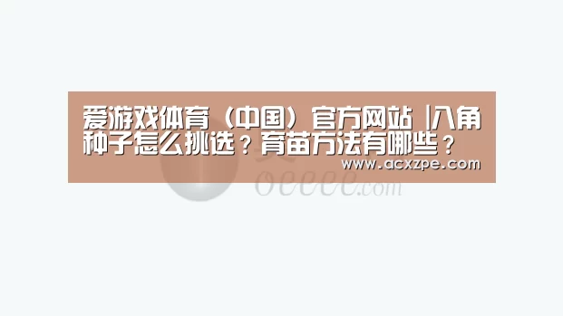爱游戏体育（中国）官方网站 |八角种子怎么挑选？育苗方法有哪些？