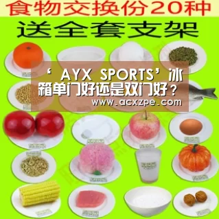 ‘ AYX SPORTS’冰箱单门好还是双门好？