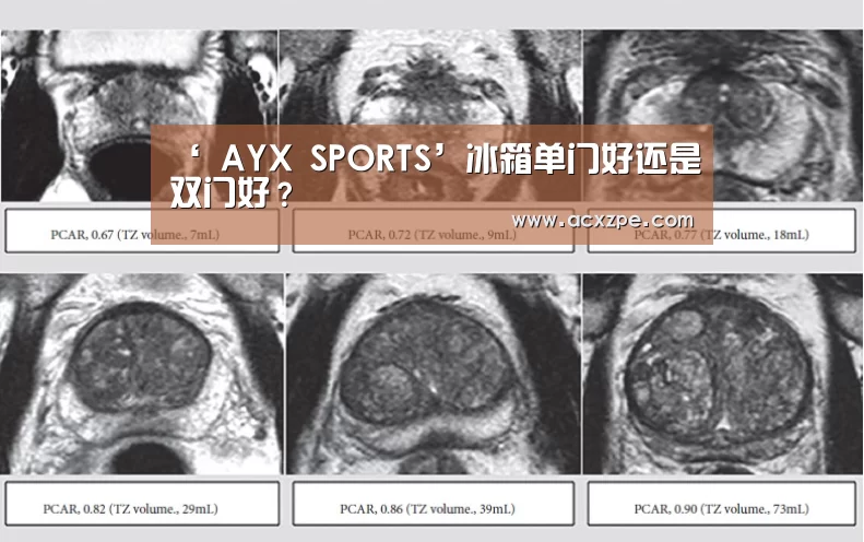  AYX SPORTS