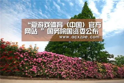  AYX SPORTS