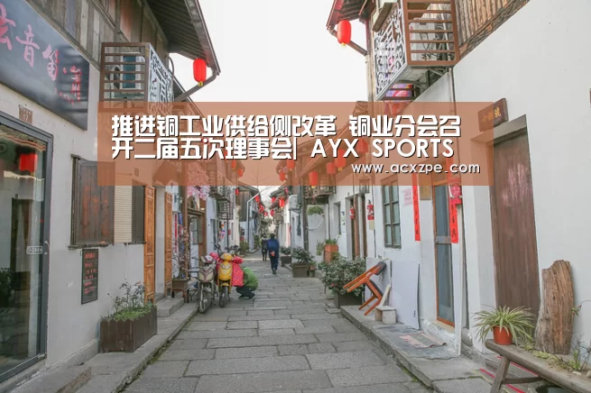 爱游戏体育（中国）官方网站 