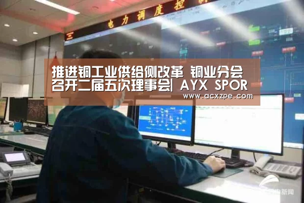 推进铜工业供给侧改革 铜业分会召开二届五次理事会| AYX SPORTS