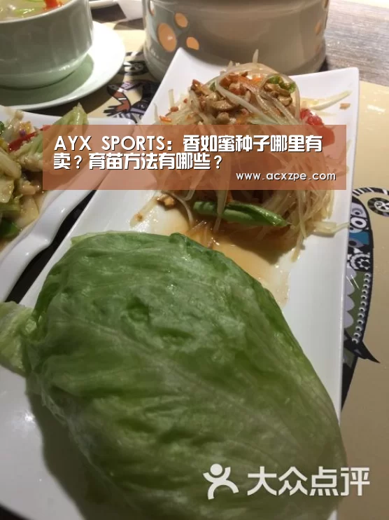  AYX SPORTS