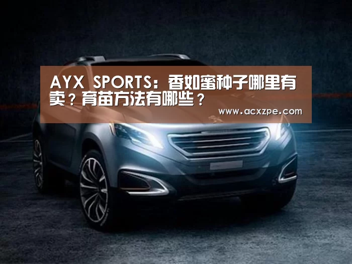  AYX SPORTS