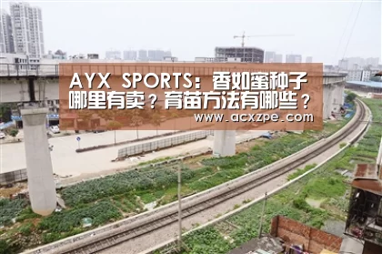 爱游戏体育（中国）官方网站 