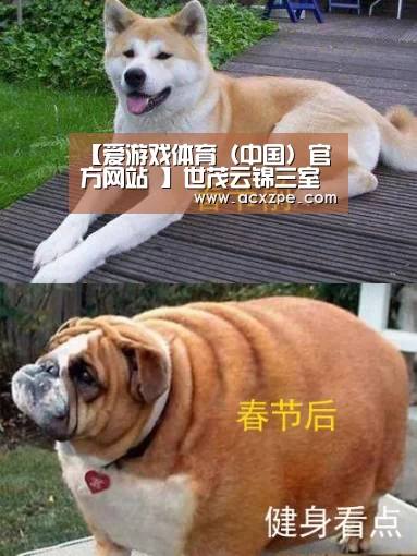 【爱游戏体育（中国）官方网站 】世茂云锦三室两厅装修报价