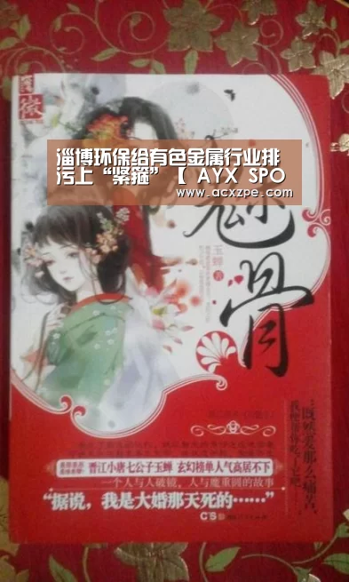 淄博环保给有色金属行业排污上“紧箍”【 AYX SPORTS】