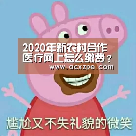 2020年新农村合作医疗网上怎么缴费？缴费截止时间是什么时候？- AYX SPORTS