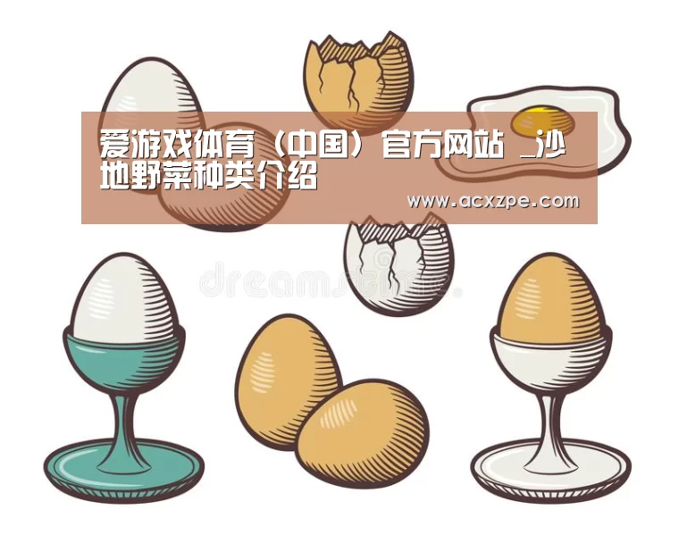 爱游戏体育（中国）官方网站 