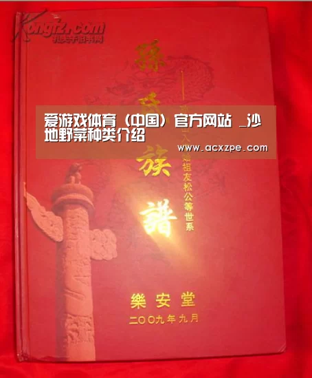 爱游戏体育（中国）官方网站 