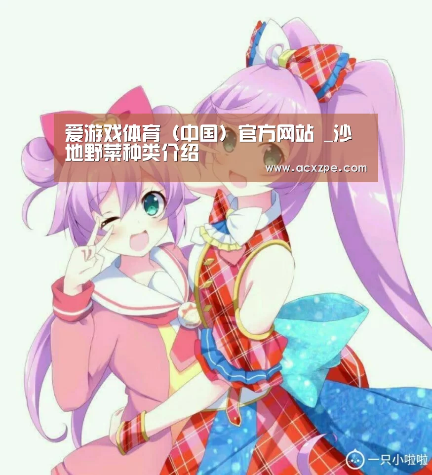 爱游戏体育（中国）官方网站 