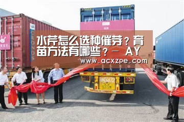 水芹怎么选种催芽？育苗方法有哪些？- AYX SPORTS